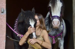 OKINAWA COLOMBIERE - Pouliche Jument Arabe DSA - Noire Homozygote - Haras La Colombiere - 13
