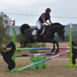 Hamnesia Colombiere - Etalon PSA - Elevage Pur-Sang Arabe Noir Homozygote - Haras La Colombiere - 2