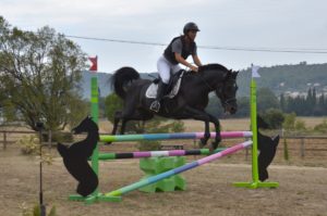 Hamnesia Colombiere - Etalon PSA - Elevage Pur-Sang Arabe Noir Homozygote - Haras La Colombiere - 2
