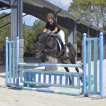 Hamnesia Colombiere - Etalon PSA - Elevage Pur-Sang Arabe Noir Homozygote - Haras La Colombiere - 9
