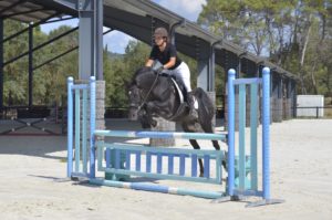 Hamnesia Colombiere - Etalon PSA - Elevage Pur-Sang Arabe Noir Homozygote - Haras La Colombiere - 9