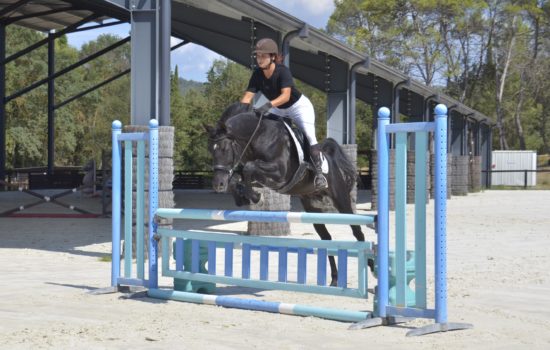 Hamnesia Colombiere - Etalon PSA - Elevage Pur-Sang Arabe Noir Homozygote - Haras La Colombiere - 9