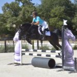 Hamnesia Colombiere - Etalon PSA - Elevage Pur-Sang Arabe Noir Homozygote - Haras La Colombiere - 10