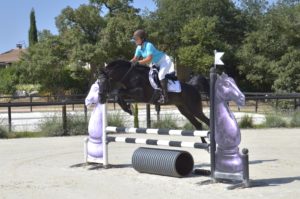 Hamnesia Colombiere - Etalon PSA - Elevage Pur-Sang Arabe Noir Homozygote - Haras La Colombiere - 10