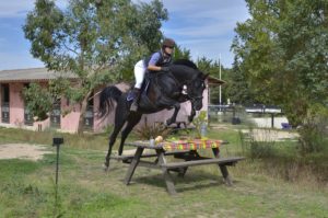 Hamnesia Colombiere - Etalon PSA - Elevage Pur-Sang Arabe Noir Homozygote - Haras La Colombiere - 13
